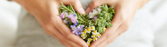 Can You Get Pregnant During Perimenopause? A Gentle, Honest Answer