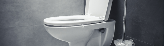 Would You Sit on a Public Toilet Seat Without Thinking Twice?