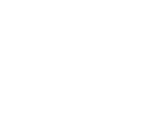 XL - XXL